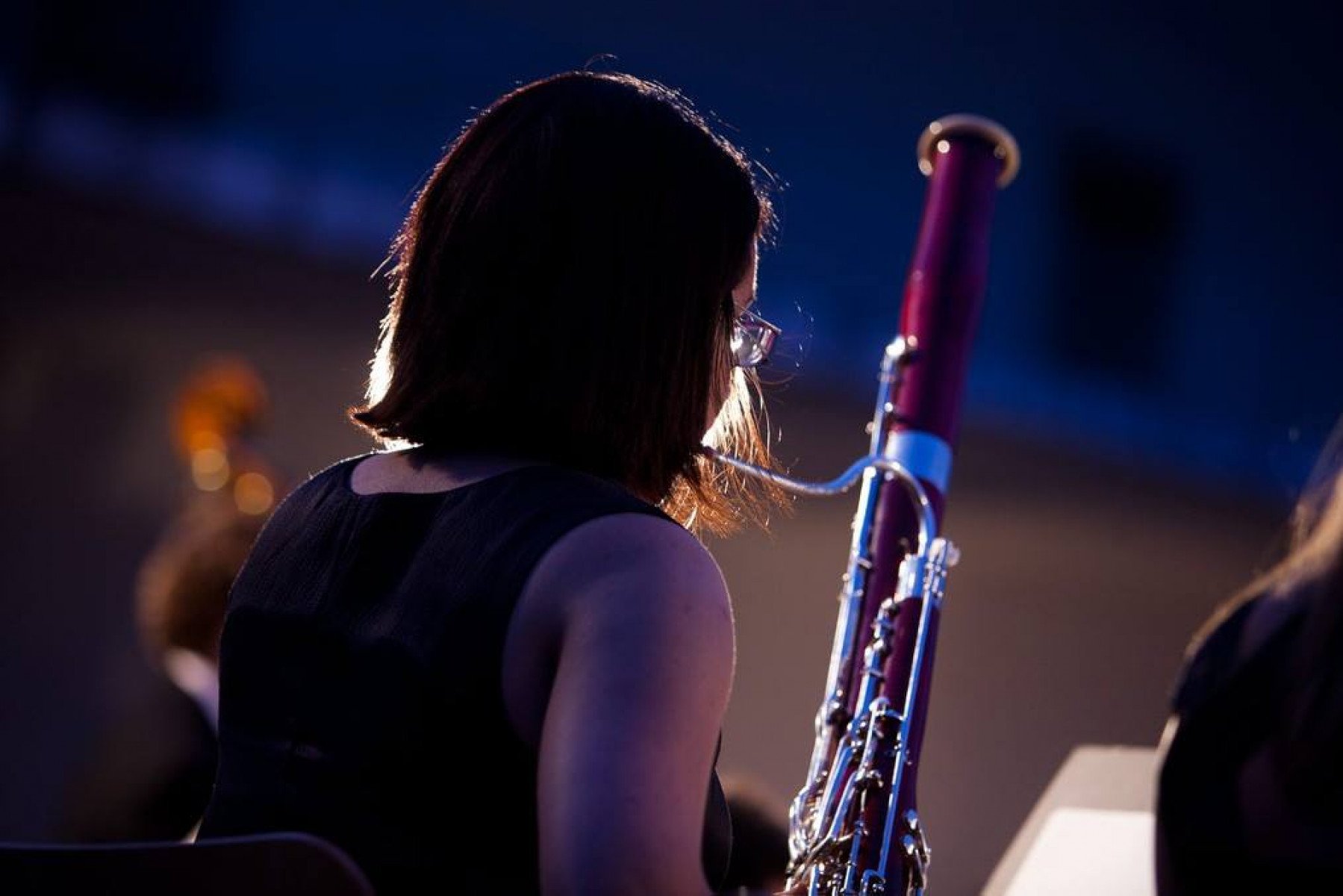 Bassoon, Bassoonino, Contrabassoon